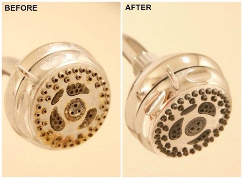 Leginella shower head - , taps